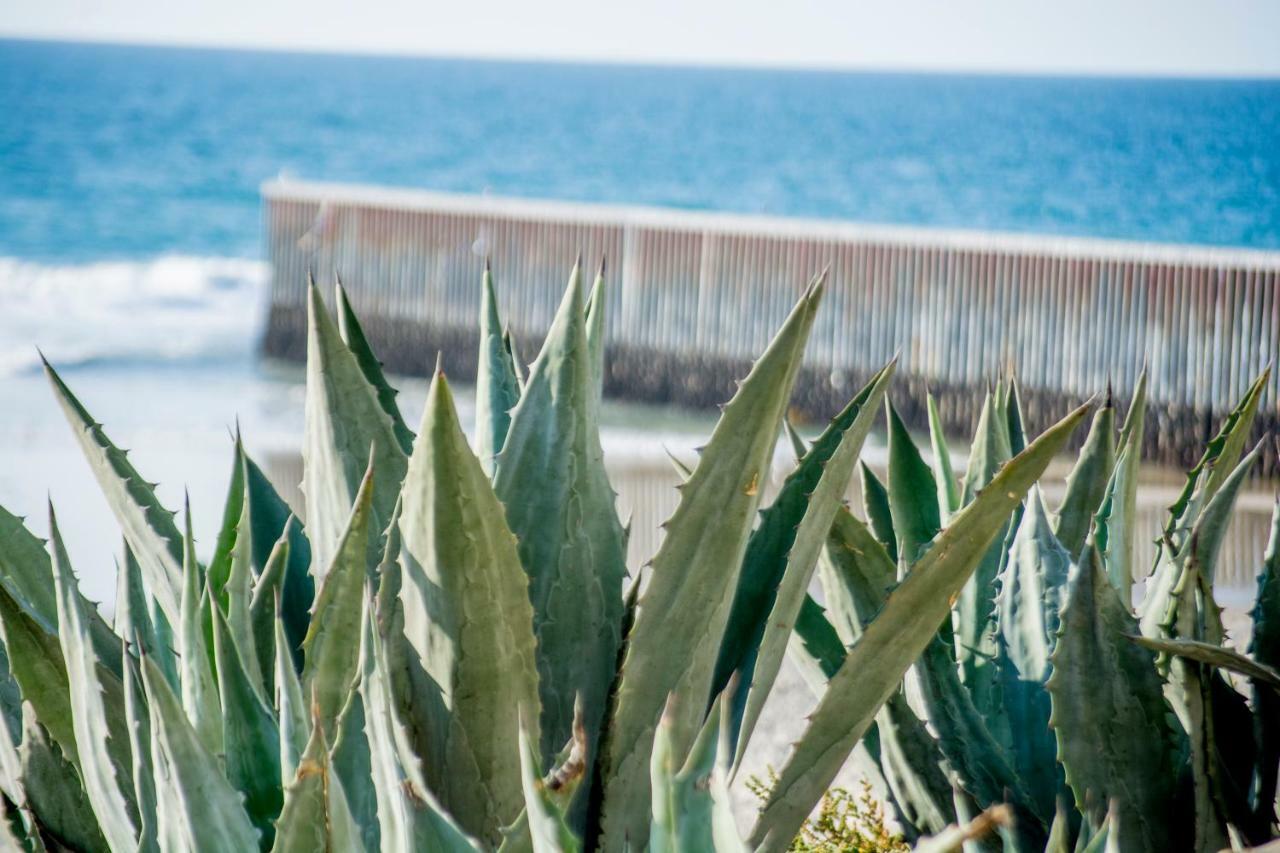 Beachfront Cozy 1 Bdr Тіхуана Екстер'єр фото